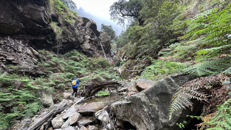 20250730095550-img-3749