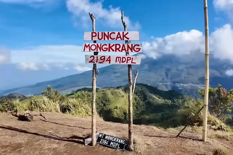 WhatsApp-Image-2025-01-28-at-175619-2631259473